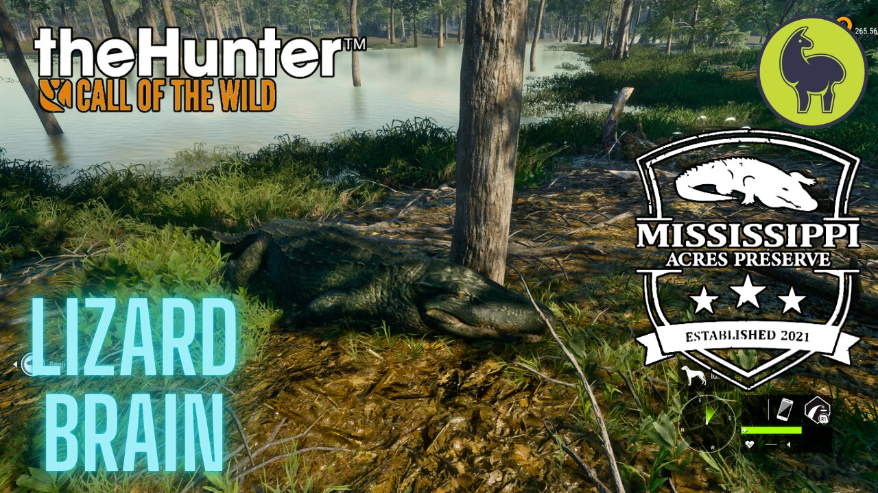 The Hunter: Call of the Wild, Lizard Brain, Mississippi Acres (PS5 4K)