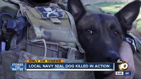 Local Navy SEAL dog killed in action