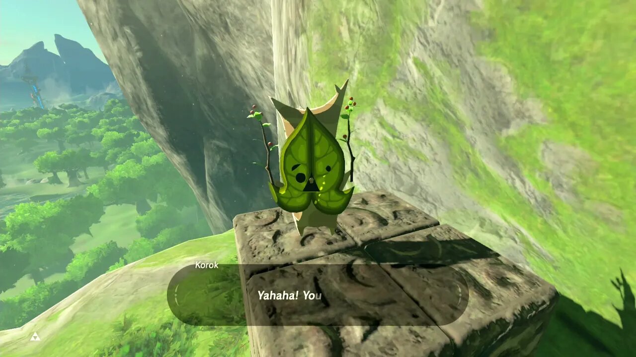 Breath of the Wild Master Mode 9