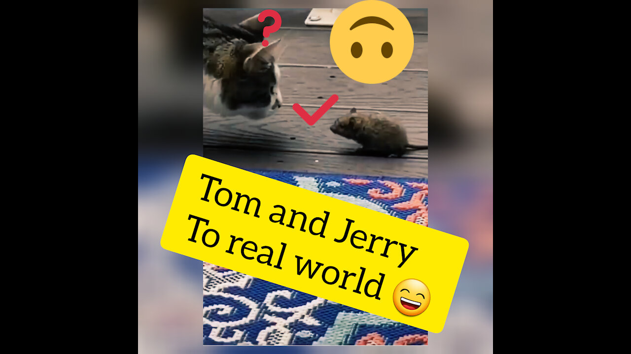 Tom and Jeery to real world 👌👌