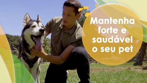 Mantenha forte e saudável o seu pet.