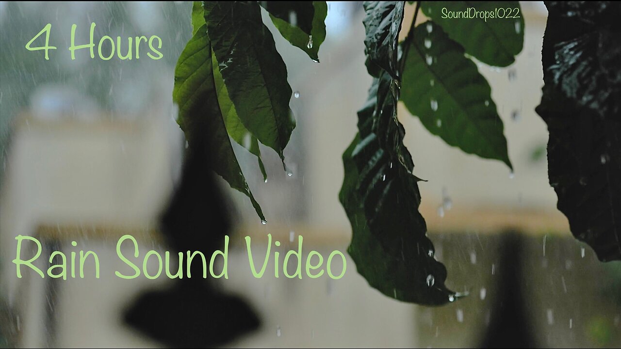Rainy Day Journey: 4-Hour Nature Soundscape
