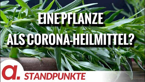 Es geht ausschließlich um PROFIT