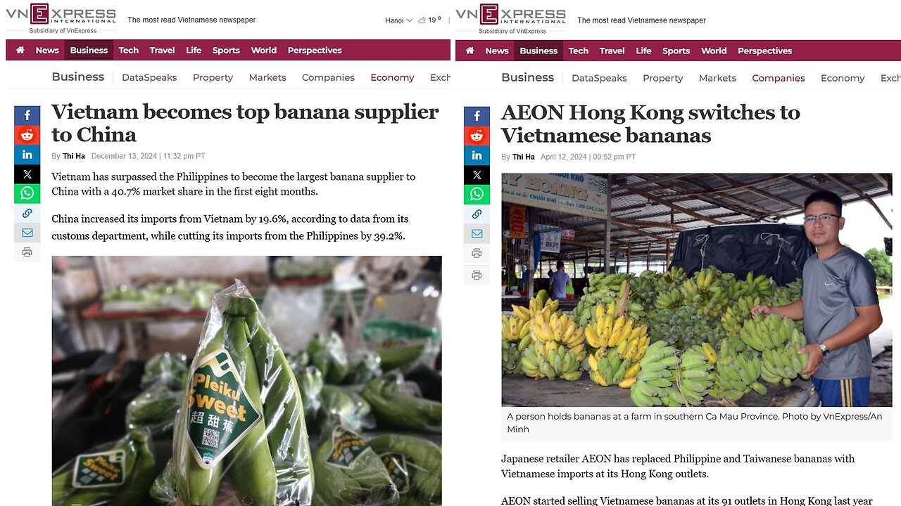 Vietnam replaces the Philippines as the Top Supplier of Bananas to China