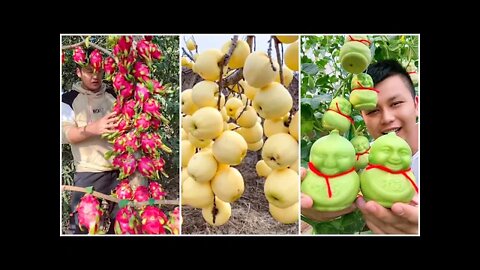 Farm Fresh Ninja Fruit China oddly satisfying Fruit Ninja #115 2022