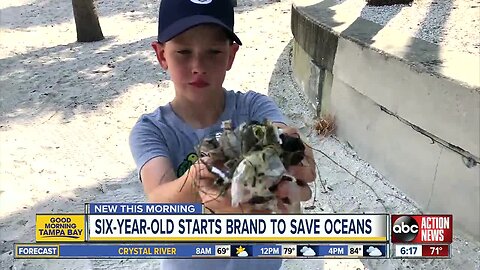 St. Pete boy starts lifestyle brand to help sharks and sea life