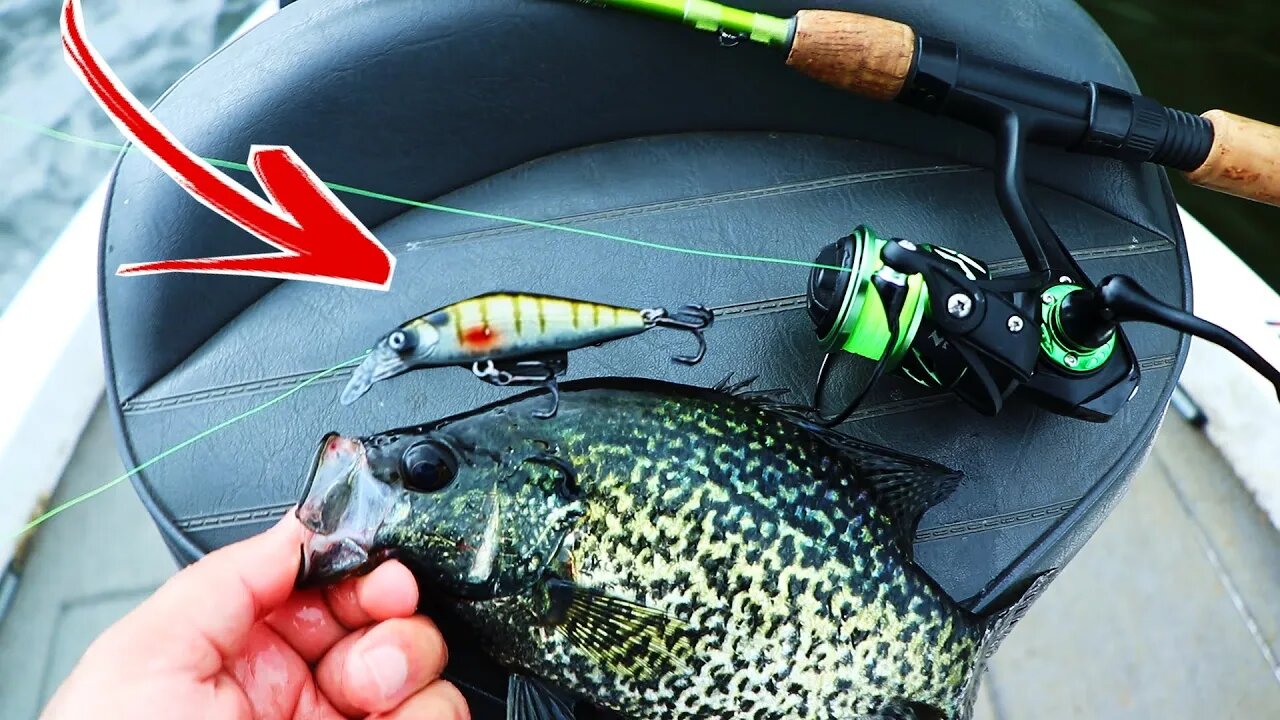 Crappie can't RESIST this Lure (Crappie Fishing with a Micro Jerkbait)