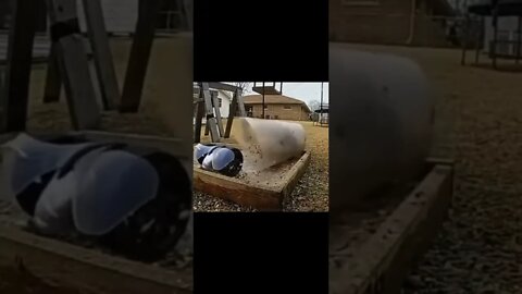 Squirrel vs RC #shorts