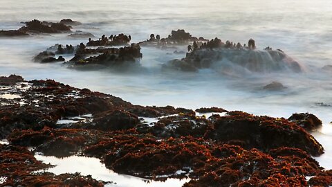 Bean Hollow State Beach, Pescadero, CA