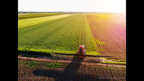 Diesel Shortage Keeping Pennsylvania Farmers From Harvesting Their Crops