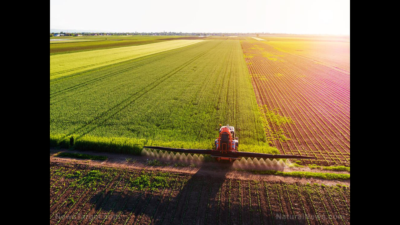 Diesel Shortage Keeping Pennsylvania Farmers From Harvesting Their Crops