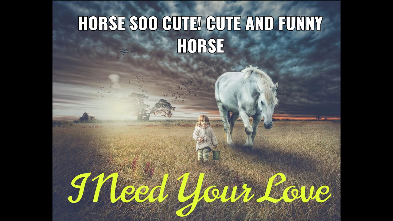 Funny horse and cute baby boy and cute baby girls