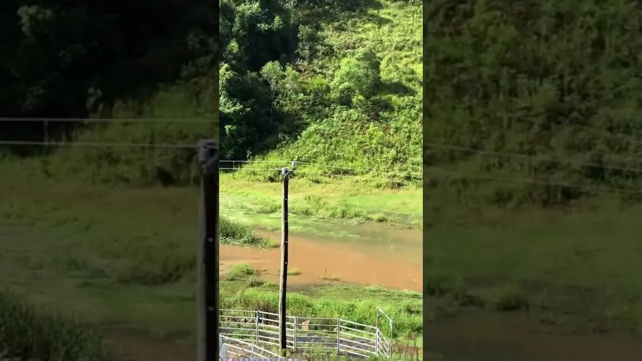 Afternoon flood check. Day 3