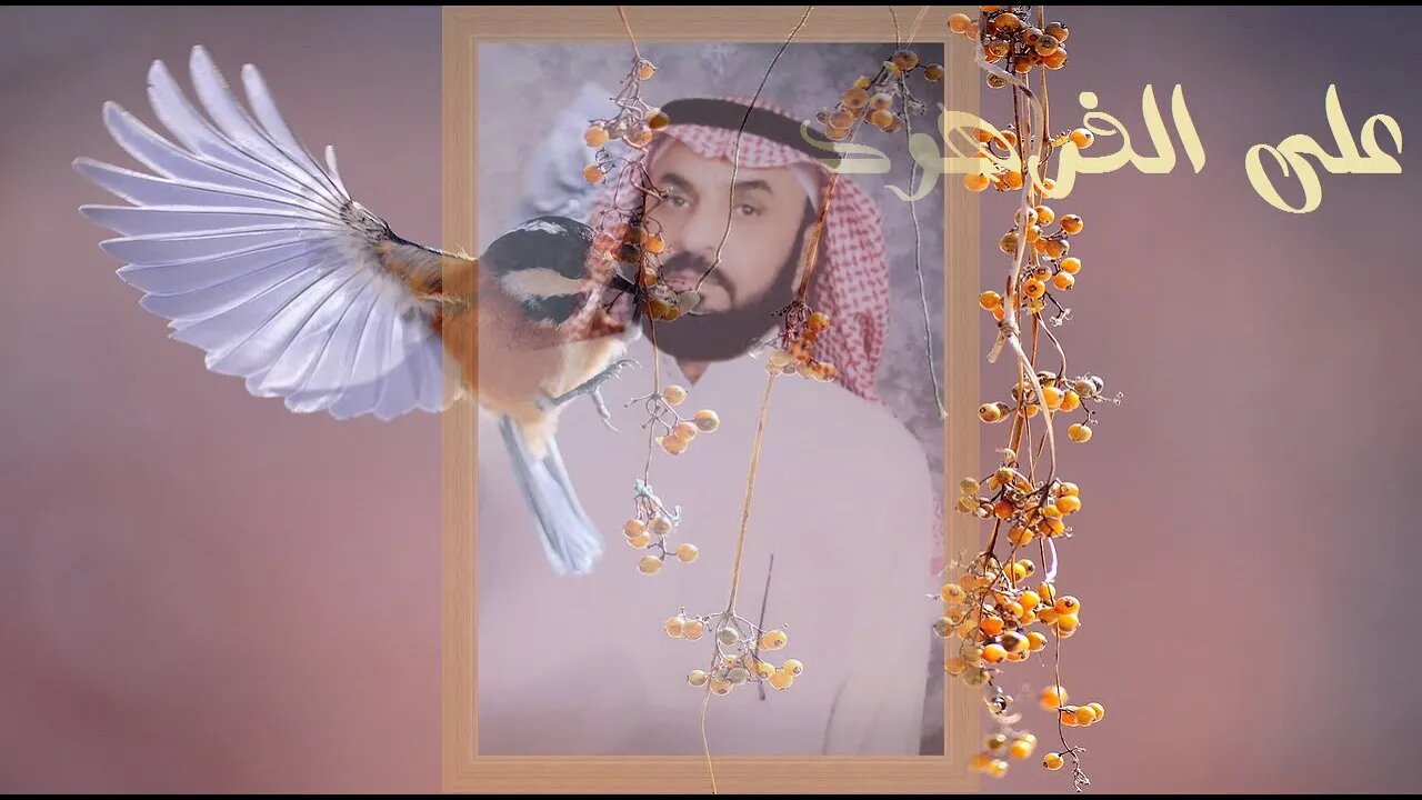 قران الكريم من اجمل الاصوات@nsrm11