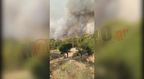 Θρακομακεδόνες - Αγανακτισμένος πολίτης | makeleio.gr