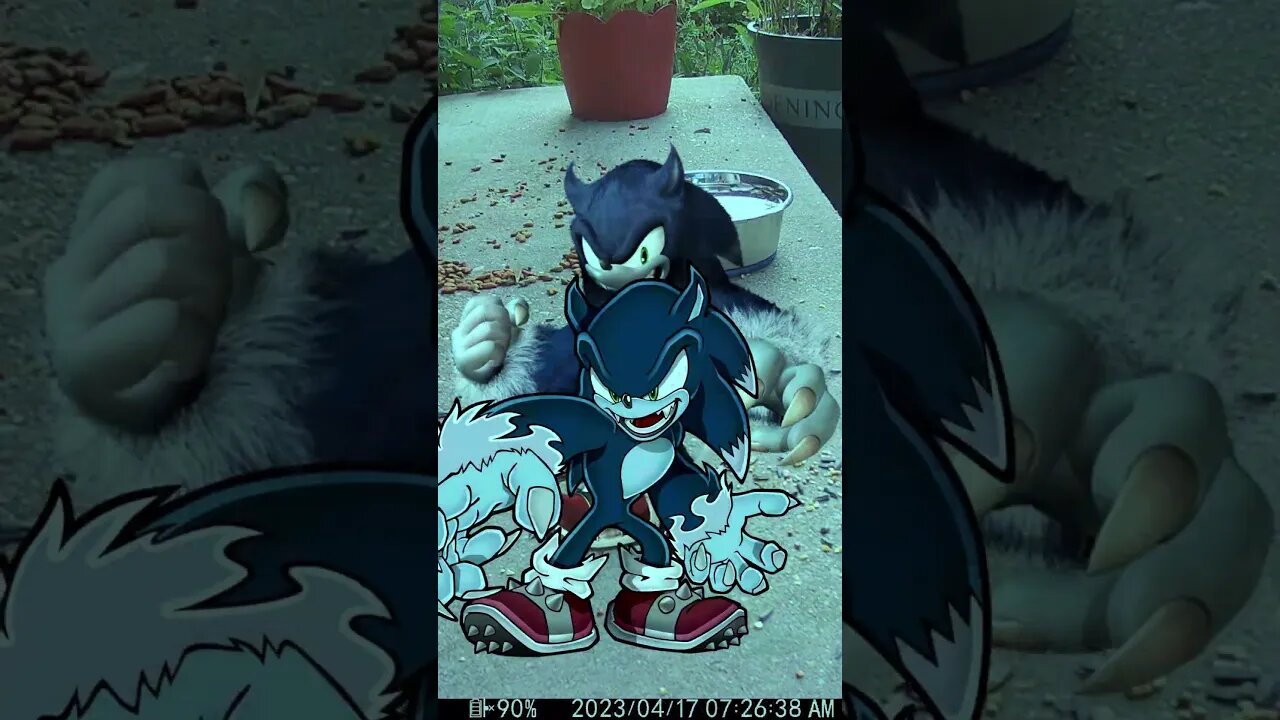 Two Sonic The Werehogs Visit! #Shorts