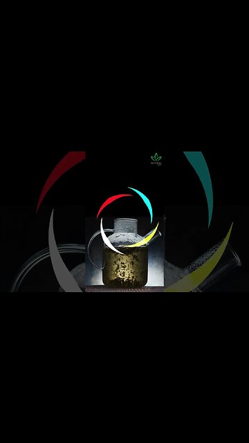 Avocado Leaves: The Secret Cure for Urinary Tract Infections?