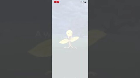 Shiny Bellsprout