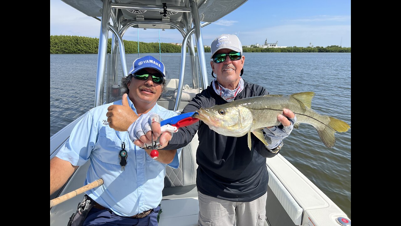 FAF Tarpon Spring Fall Fishing