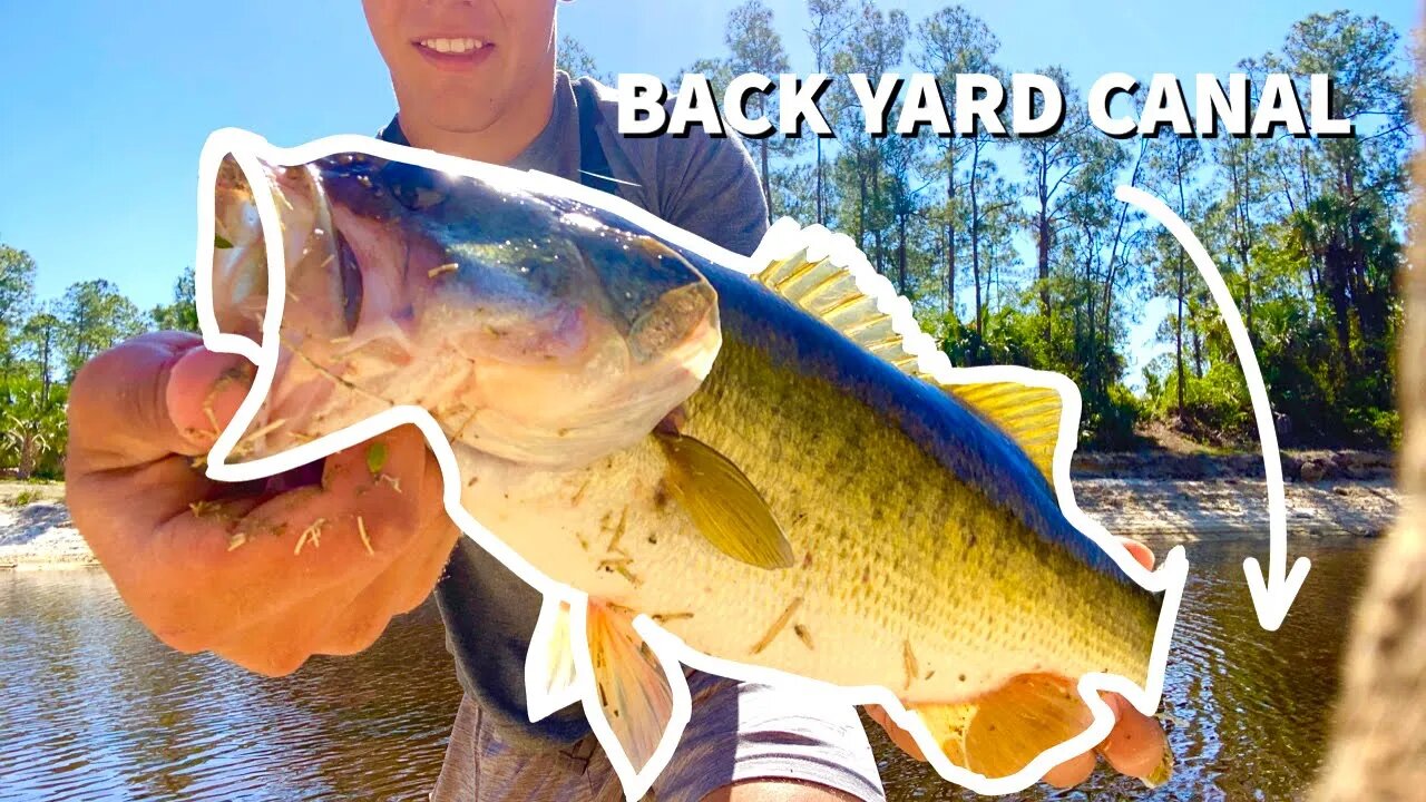 Catching a TANK Largemouth BASS in my backyard - PB???