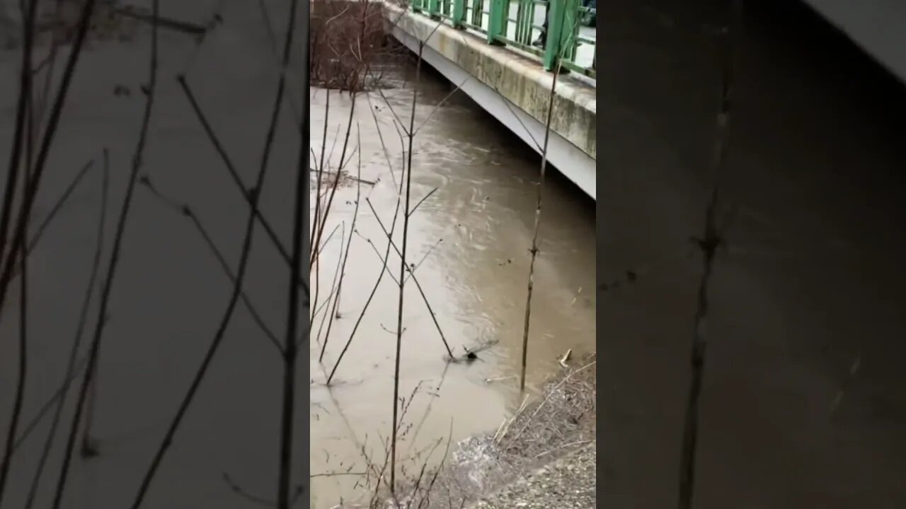 FLOODING in Jamestown, OH