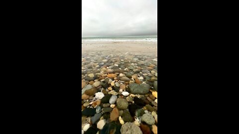 Nantucket Seashore