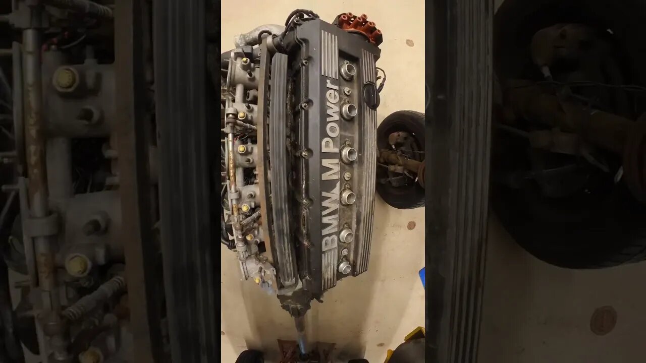 BMW E34 M5 Engine and Chassis #shorts #bmw #cars #automotive #engine