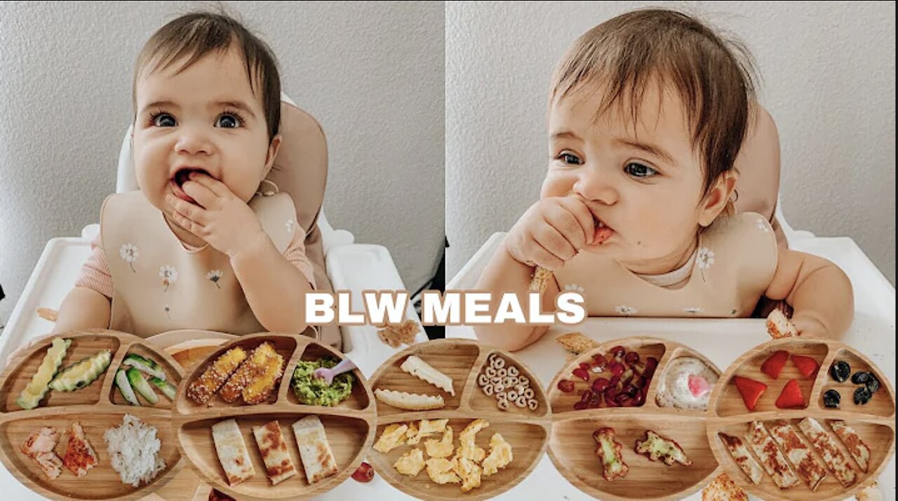 Easy Baby Led Weaning Meals | My Baby's Favorite Foods For Breakfast, Lunch & Dinner