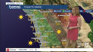 ABC 10News Pinpoint Weather with Meteorologist Leah Pezzetti