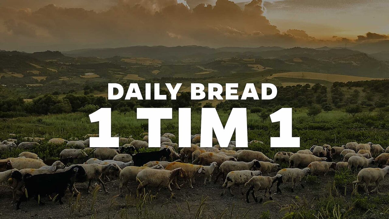 Daily Bread: 1 Tim 1