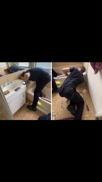 Firefighters rescue cat stuck under bathtub