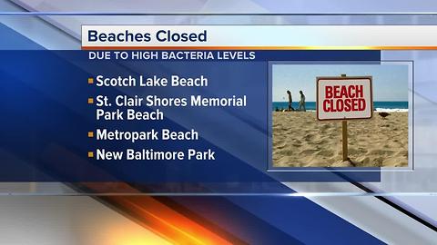 Several metro Detroit beaches closed due to high bacteria