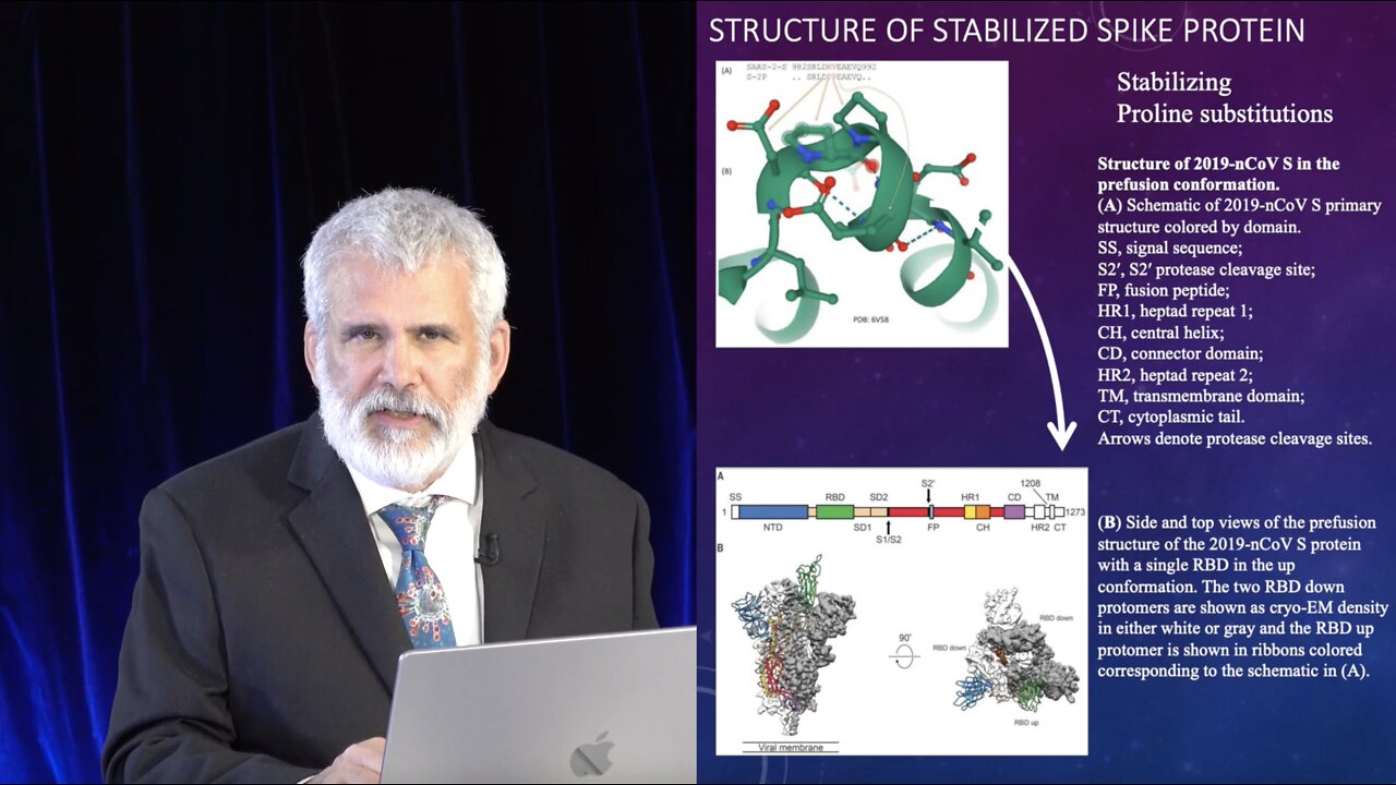 Overview Video of mRNA Vaccine Technology: Fundamentals of Mechanisms and Risks