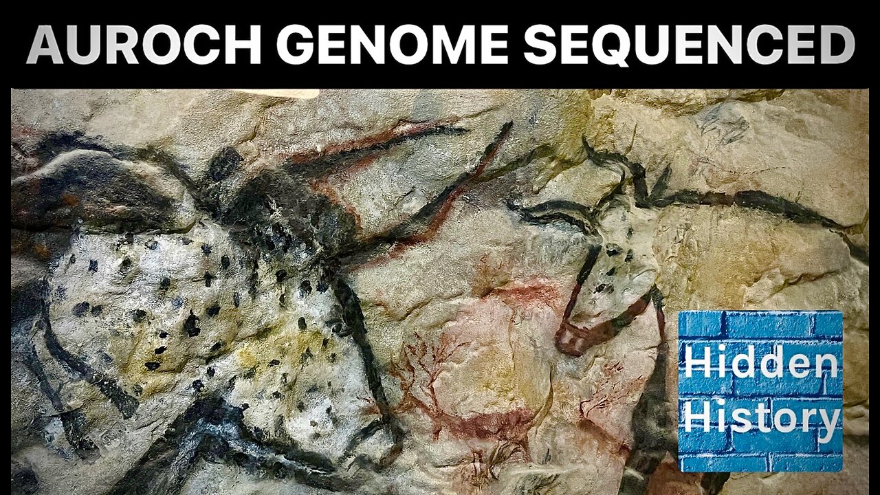 Ancient Mesolithic auroch DNA sequenced