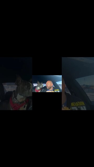 Chicken & Waffle Feeding Time with Ryback