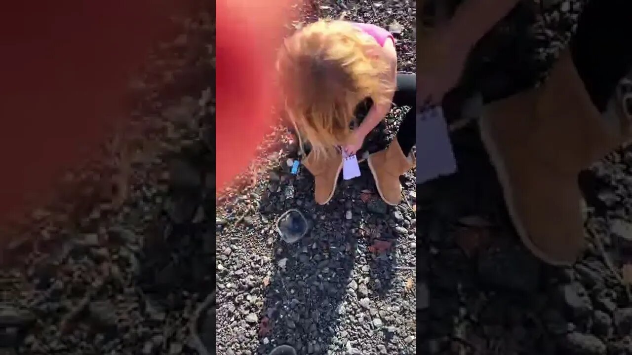 Letterboxing, return to investigate, WHAT IS THIS!!!
