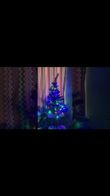 Put up the Christmas Tree/Chanukah Bush and strung the lights (17-December-2022)