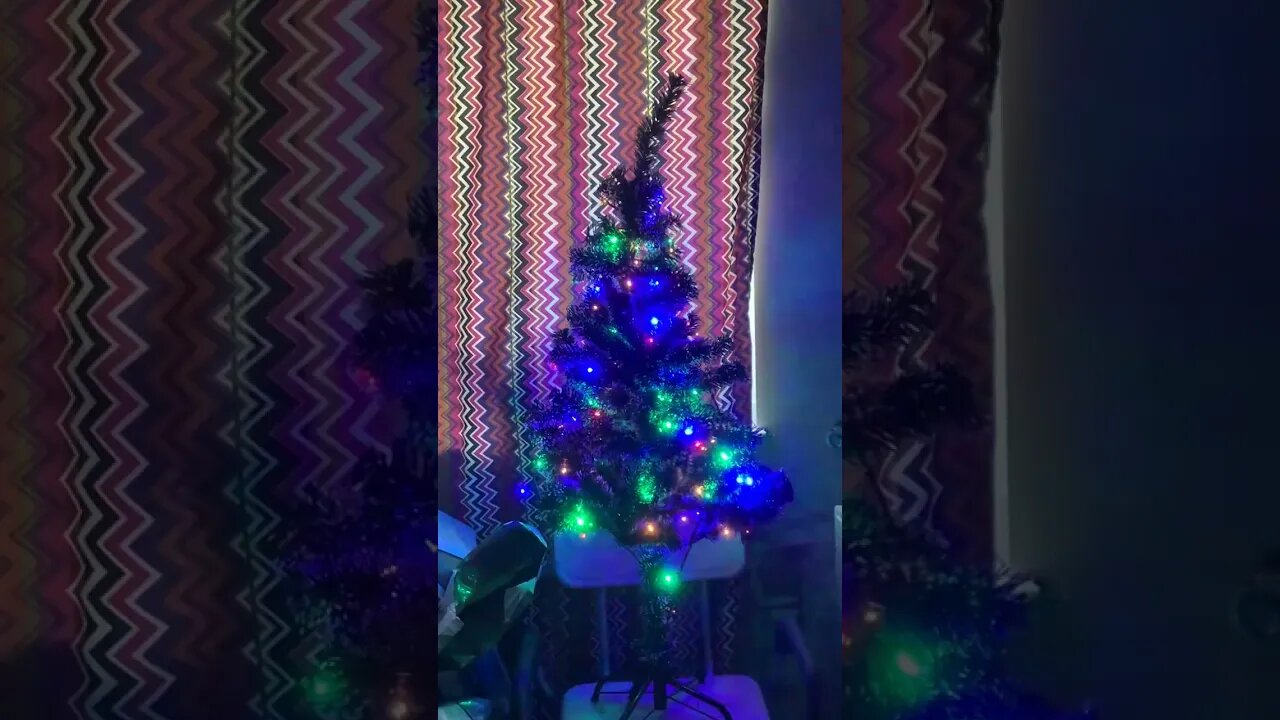Put up the Christmas Tree/Chanukah Bush and strung the lights (17-December-2022)