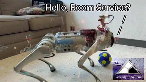 Lost my Self Aware chat-gpt a.i. Robot Dog in the Hotel. Help. [prank call]