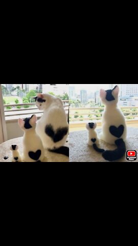 dodo and his baby watching beautiful sunshine outside the window January 9, 2022