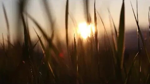 Light In Darkness
