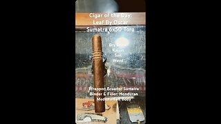 Leaf By Oscar Sumatra 6x50 Toro #Short #CigarReview #Shorts #CigarOfTheDay #Cigars