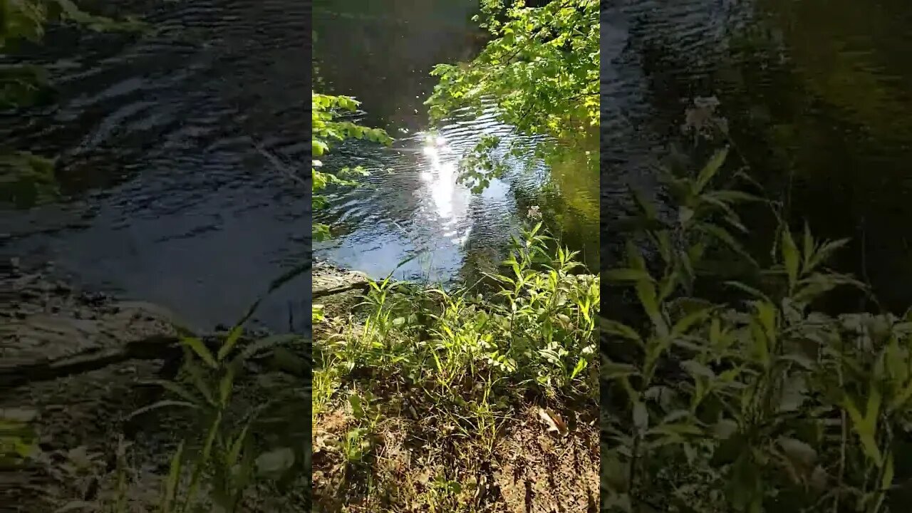 Mowing The Chill Spot