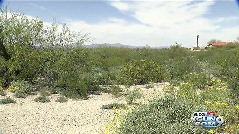 Neighbors push to stop bike ranch near Saguaro Park