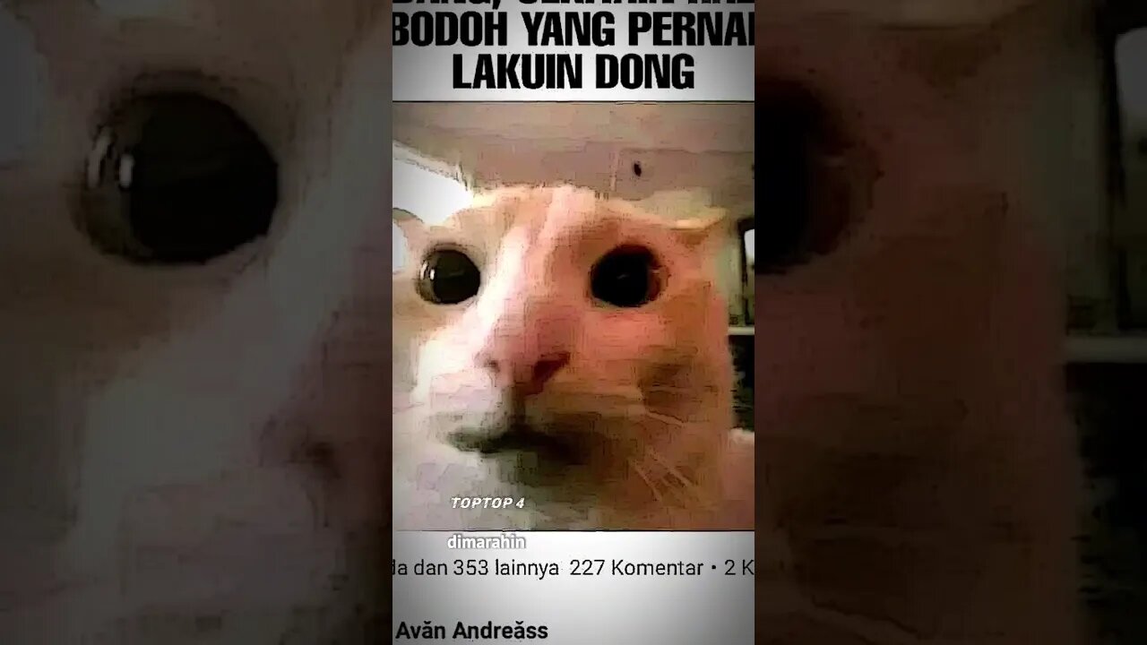 meme nya berkualitas #lahelu