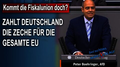 Kommt die Fiskalunion doch, Peter Boehringer AfD