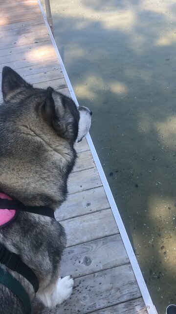 Monday Sept 16, God presides over heaven’s court.