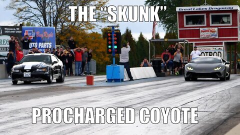 Supercharged Coyote Swapped Mustang GT - THE SKUNK