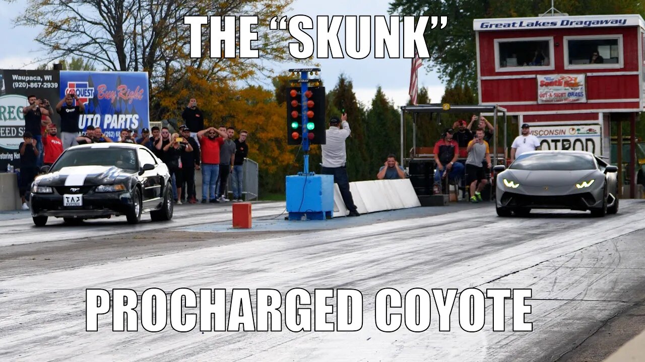 Supercharged Coyote Swapped Mustang GT - THE SKUNK