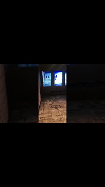 #ripleysbelieveitornot